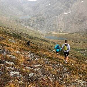 Meet your Posher, Bailey